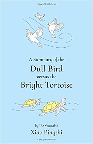 Dull Birds Vs Bright Tortoise